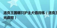洛克王國哪只護主犬值得練(洛克王國怎么對付護主犬的回光返照)