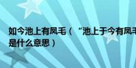 如今池上有鳳毛(“池上于今有鳳毛”這句話中的“鳳毛“是什么意思)