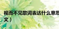 視而不見歌詞表達什么意思(視而不見歌詞全文)