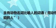 含有動物名詞比喻人的詞語(用動物的名詞“比喻有突出才能的人”)
