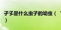 孑孓是什么蟲子的幼蟲(“孑孓”是什么意思)