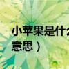 小蘋果是什么意思?（網上說的小蘋果是什么意思）