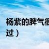 楊紫的脾氣很暴躁嗎（她曾與哪些人深夜沖突過）