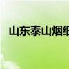 山東泰山煙細煙圖片（山東泰山煙價格表）