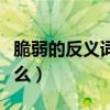 脆弱的反義詞是什么意思（脆弱的反義詞是什么）