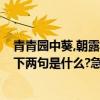 青青園中葵,朝露待日晞什么意思（青青園中葵,朝露待日晞,下兩句是什么?急）