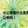 小公舉是什么意思（是不是等于小公主 可以稱呼乖女兒為小公舉嗎）