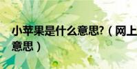 小蘋果是什么意思?(網上說的小蘋果是什么意思)