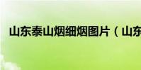 山東泰山煙細煙圖片(山東泰山煙價格表)
