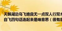 天鵝湖邊鳥飛絕良無一點雙人行雙木非林心相連您若無心先自飛四句話連起來是啥意思(很有意思的話喔)