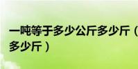 一噸等于多少公斤多少斤(一噸等于多少公斤多少斤)