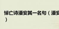 悼亡詩潘安其一名句(潘安悼亡詩哪句最有名)
