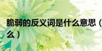 脆弱的反義詞是什么意思(脆弱的反義詞是什么)