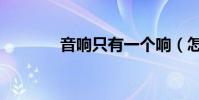 音響只有一個響(怎么回事)