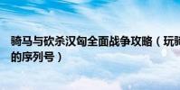 騎馬與砍殺漢匈全面戰爭攻略(玩騎馬與砍殺漢匈全面戰爭的序列號)
