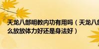 天龍八部明教內功有用嗎(天龍八部3明教真元各個部位怎么放放體力好還是身法好)