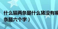 什么貓兩條腿什么豬沒有嘴求答案(什么貓兩條腿六個字)