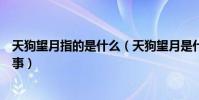 天狗望月指的是什么(天狗望月是什么意思還有關于它的故事)