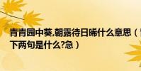 青青園中葵,朝露待日晞什么意思(青青園中葵,朝露待日晞,下兩句是什么?急)