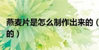 燕麥片是怎么制作出來的(燕麥片是怎么做成的)