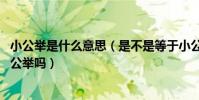 小公舉是什么意思(是不是等于小公主 可以稱呼乖女兒為小公舉嗎)