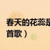 春天的花蕊是什么歌（春天綻放的花蕊是哪一首歌）