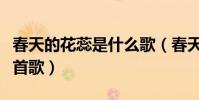 春天的花蕊是什么歌(春天綻放的花蕊是哪一首歌)