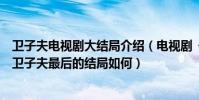 衛子夫電視劇大結局介紹(電視劇《衛子夫》這部宮廷劇中衛子夫最后的結局如何)