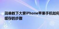 簡單教下大家iPhone蘋果手機如何清除第三方應用程序的緩存的步驟