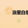 浪里白條（關于浪里白條的介紹）
