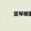 豎琴哪里買（豎琴的價格是多少）