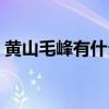 黃山毛峰有什么功效（黃山毛峰有什么功效）