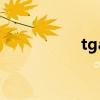 tga（關于tga的介紹）