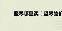 豎琴哪里買(豎琴的價格是多少)