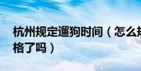 杭州規定遛狗時間(怎么規定的 遛狗這么嚴格了嗎)