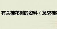 有關桂花樹的資料(急求桂花樹的詳細資料)