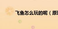 飛魚怎么玩的呢(原理是什么)