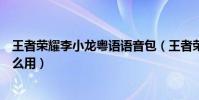 王者榮耀李小龍粵語語音包(王者榮耀李小龍粵語語音包怎么用)