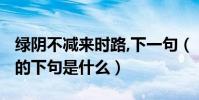 綠陰不減來時路,下一句(“綠陰不減來時路”的下句是什么)