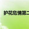 護花危情第二部衍生文（護花危情第二部）