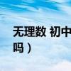 無理數 初中（兀是不是有理數初中有無理數嗎）