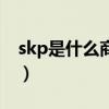 skp是什么商場（關于skp是什么商場的介紹）