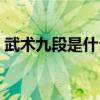 武術九段是什么水平（武術九段是什么意思）