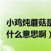 小雞燉蘑菇是什么地方的美食（小雞燉蘑菇是什么意思啊）