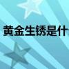 黃金生銹是什么顏色圖（黃金生銹是啥顏色）