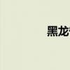 黑龍守護者（黑龍守護者）