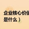 企業核心價值觀是什么意思（企業核心價值觀是什么）