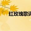 紅玫瑰歌詞（關于紅玫瑰歌詞的介紹）