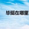 畢挺在哪里可以買到（畢挺效果怎么樣）