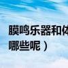 膜鳴樂器和體鳴樂器（民族樂器的膜鳴樂器有哪些呢）